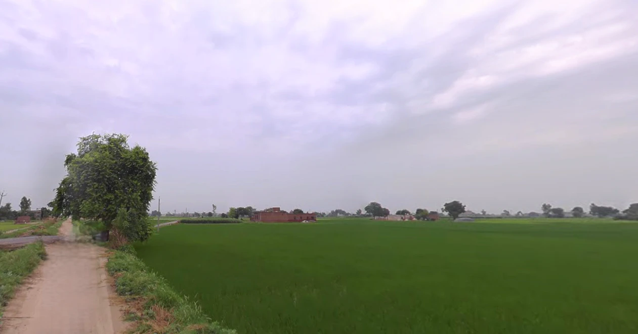 Balachaur, Punjab 144521, India