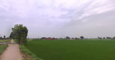 Balachaur, Punjab 144521, India preview 2
