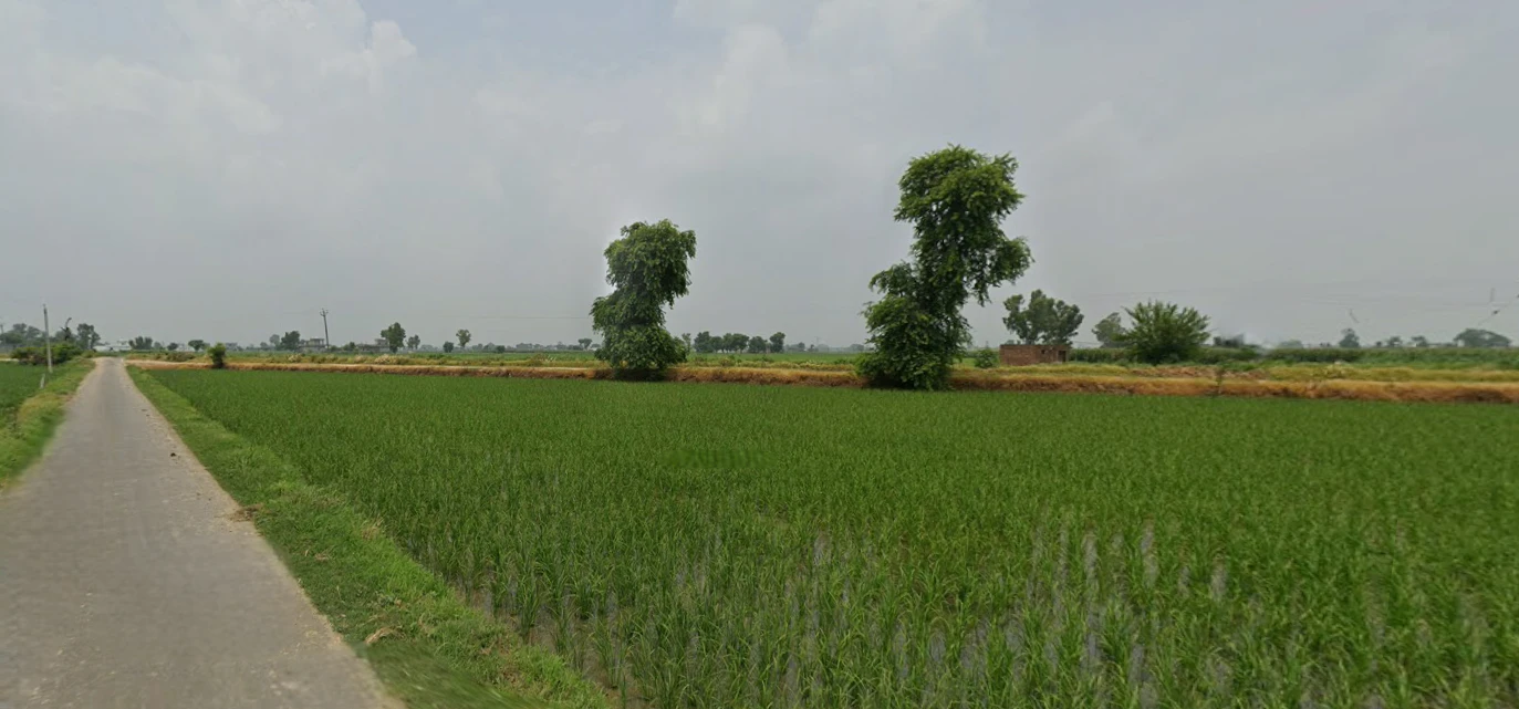 Nurpur Bedi, Punjab 140117, India
