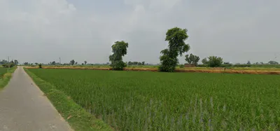 Nurpur Bedi, Punjab 140117, India preview 2