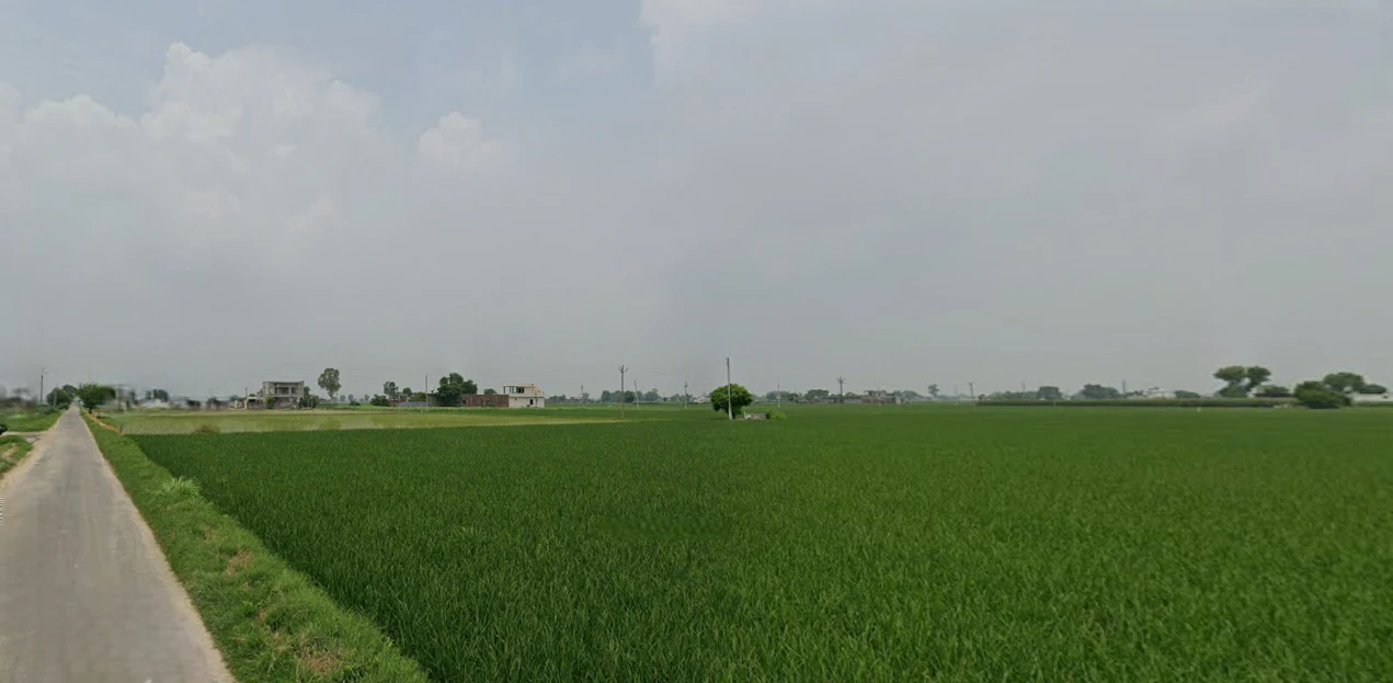 Ghanauli, Punjab 140113, India