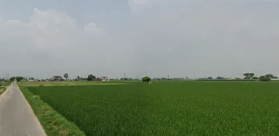 Ghanauli, Punjab 140113, India preview 2