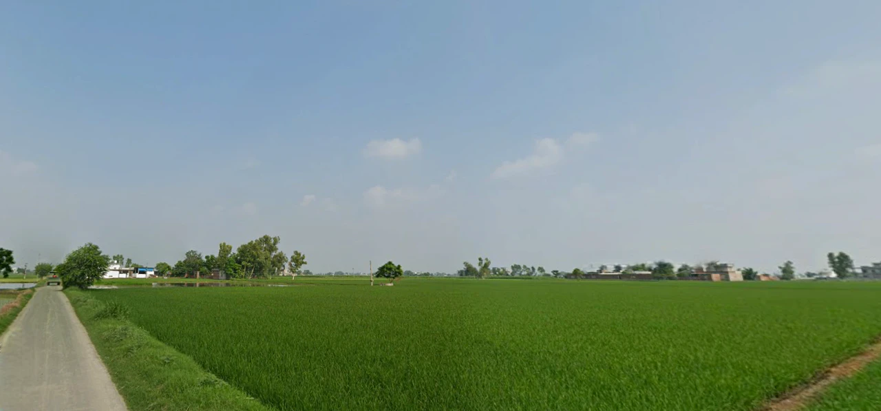 Ghanauli, Punjab 140113, India