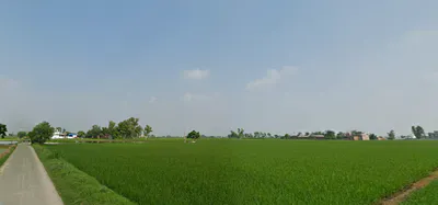 Ghanauli, Punjab 140113, India preview 3
