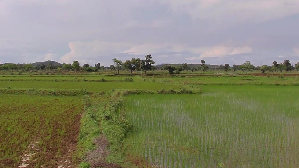 Ganiyari, Chhattisgarh 495112, India