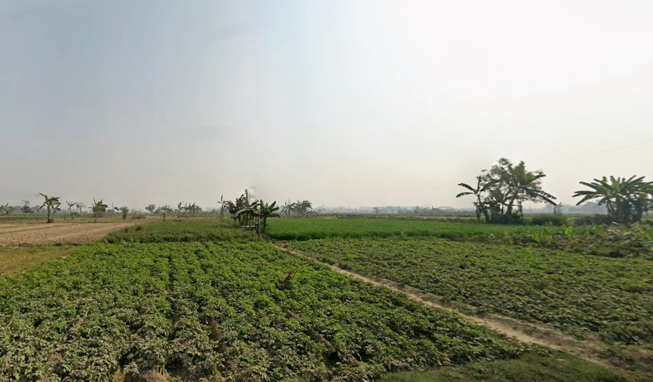 Rajarhat, Kolkata, West Bengal, India preview 2