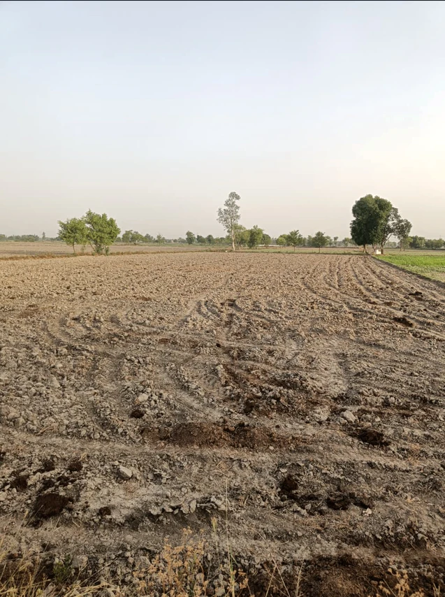 Bhoring, Chhattisgarh 493445, India