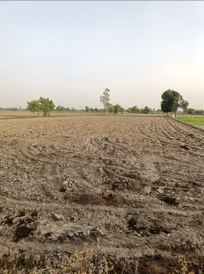 Bhoring, Chhattisgarh 493445, India preview 2