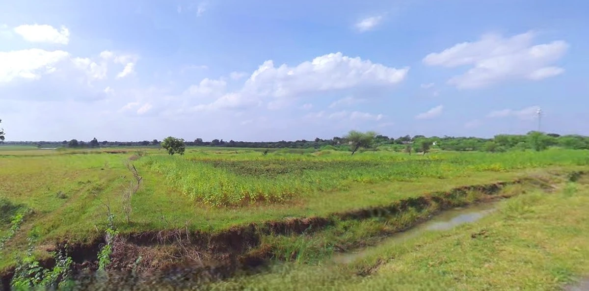 Bijnor, Uttar Pradesh 246701, India