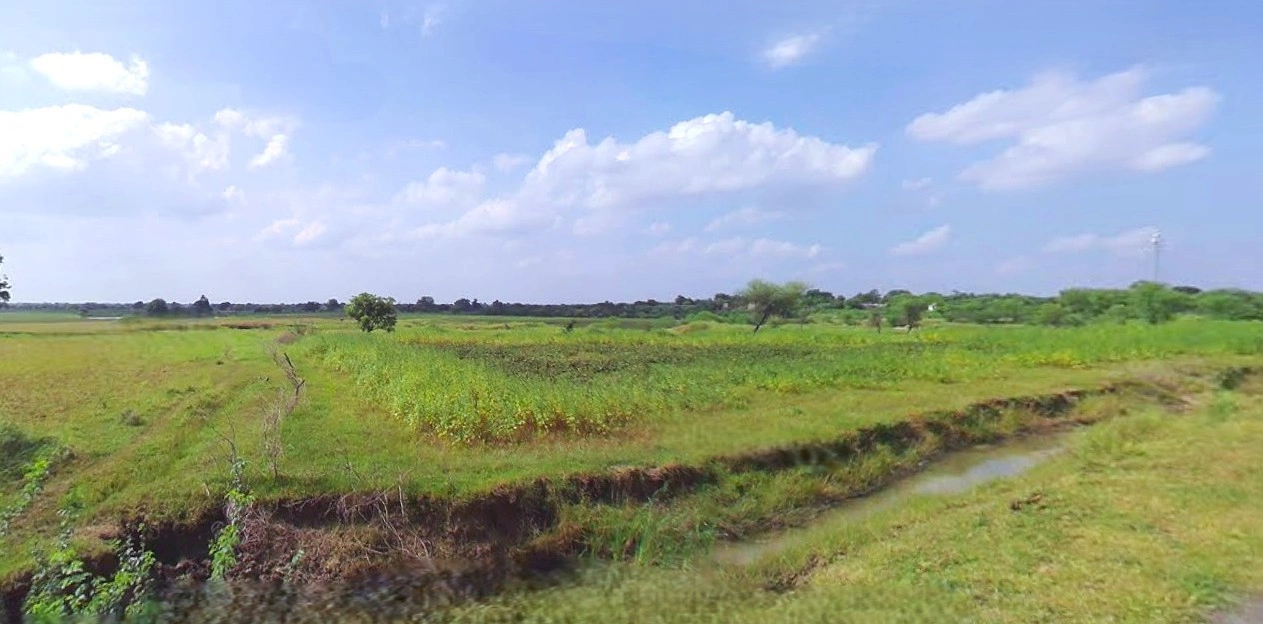 Bijnor, Uttar Pradesh 246701, India