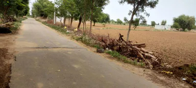 Bai Ka Bas, Rajasthan 301001, India preview 3