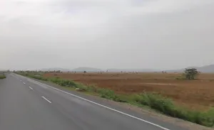 Mala Khera, Rajasthan 301406, India preview 2