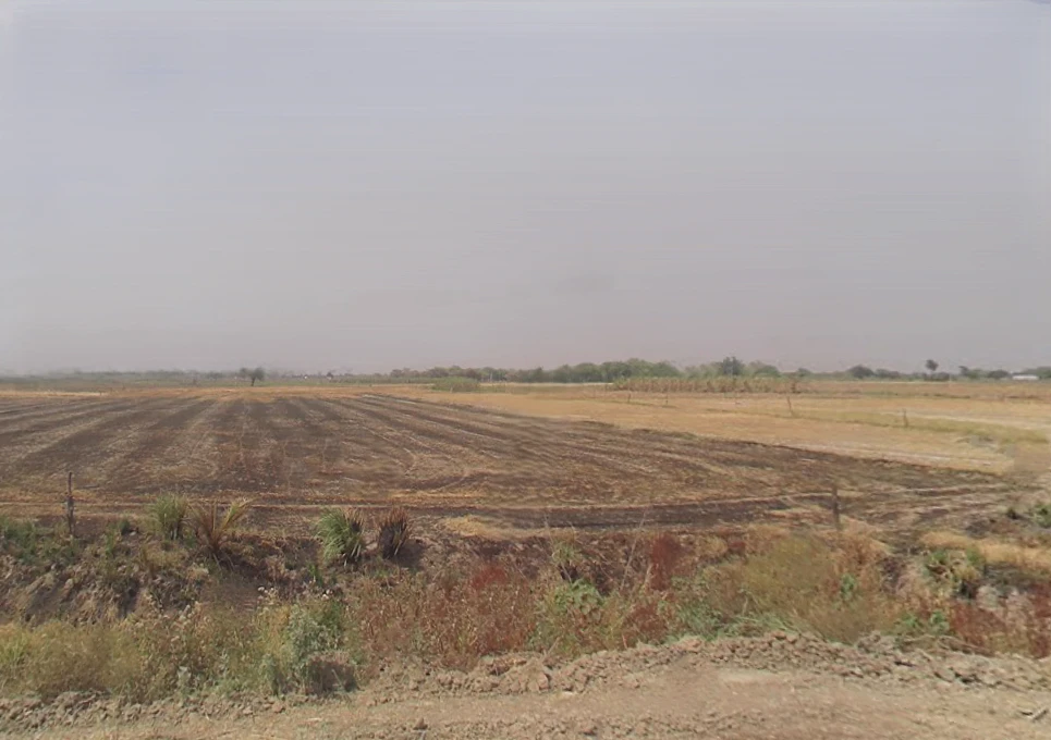 Khurja, Uttar Pradesh 203131, India