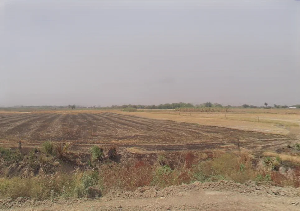 Khurja, Uttar Pradesh 203131, India preview 3