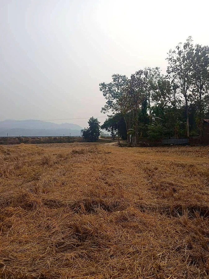 548Q+X5 No.2 Dighali Maji Gaon, Assam, India