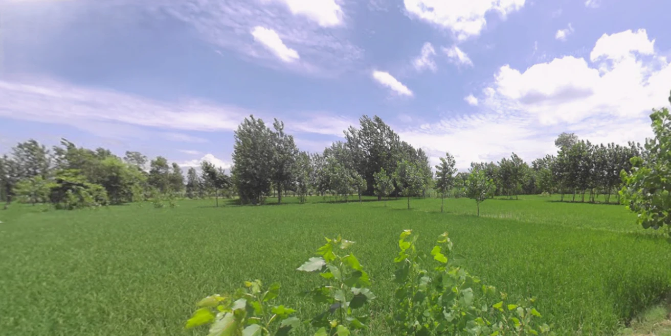 Dehradun Rd, Chhutmalpur, Uttar Pradesh, India