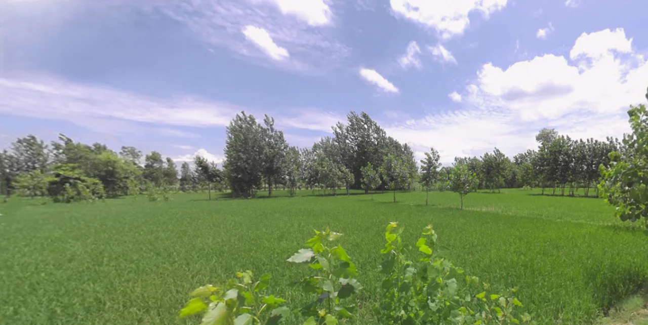 Dehradun Rd, Chhutmalpur, Uttar Pradesh, India preview 3