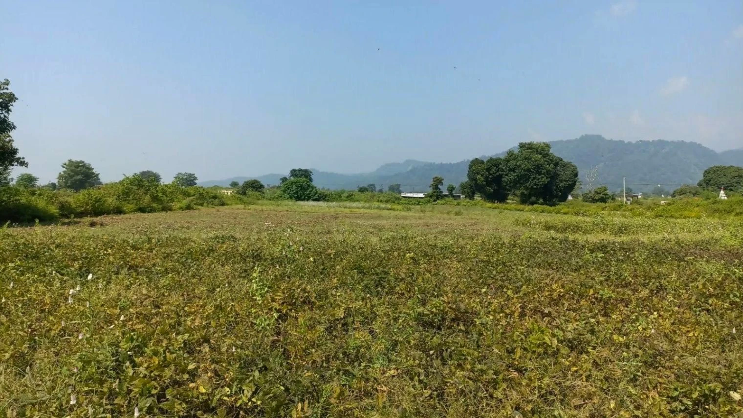 Jamni Pur, Uttarakhand, India