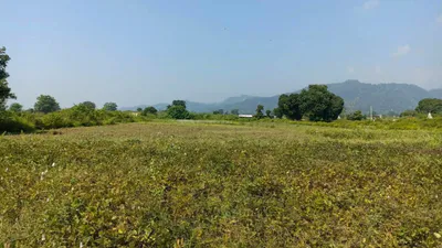 Jamni Pur, Uttarakhand, India preview 3
