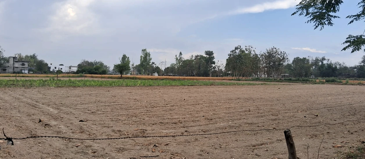 Nakodar, Punjab 144040, India