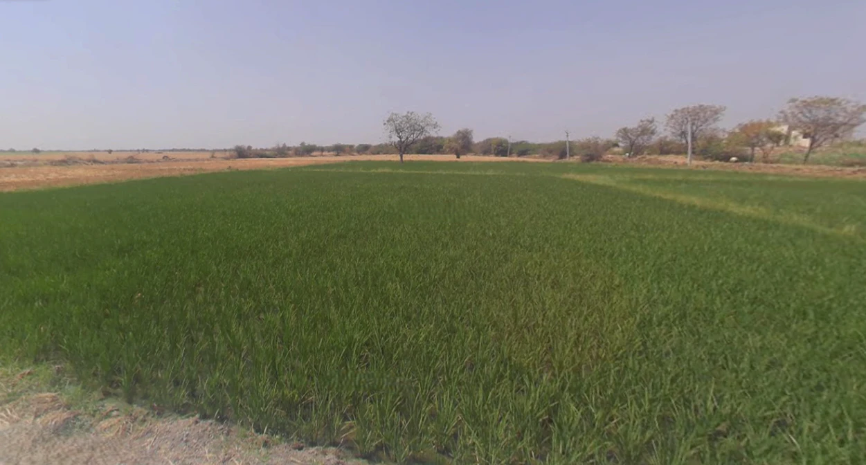 Pipariya, Gujarat, India