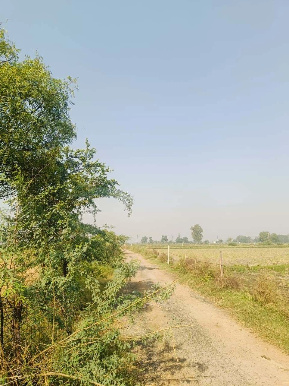 Barhana, Mathura, Uttar Pradesh, India - Photo 1