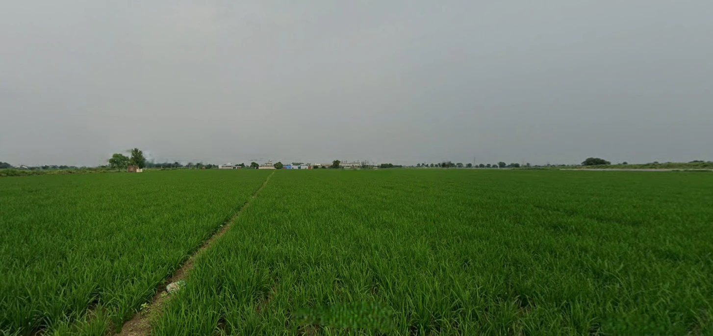 Loharka, Punjab 143101, India