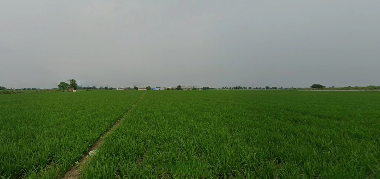 Loharka, Punjab 143101, India