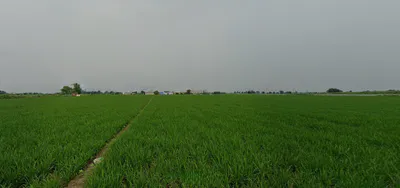 Loharka, Punjab 143101, India preview 2