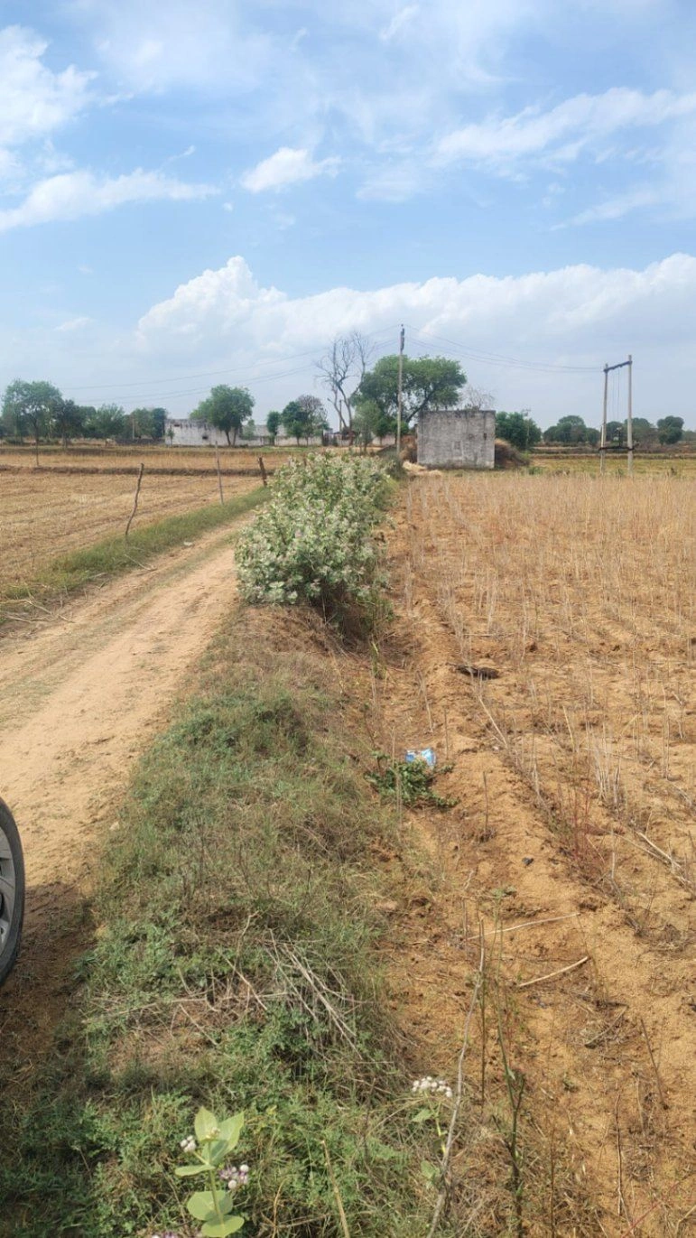 Maujpur, Rajasthan, India
