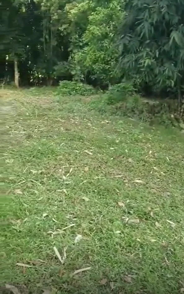 C422+M4F, Maihar, Pal, Madhya Pradesh 485775, India