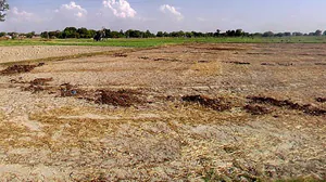 Chandla, Madhya Pradesh 471525, India preview 3