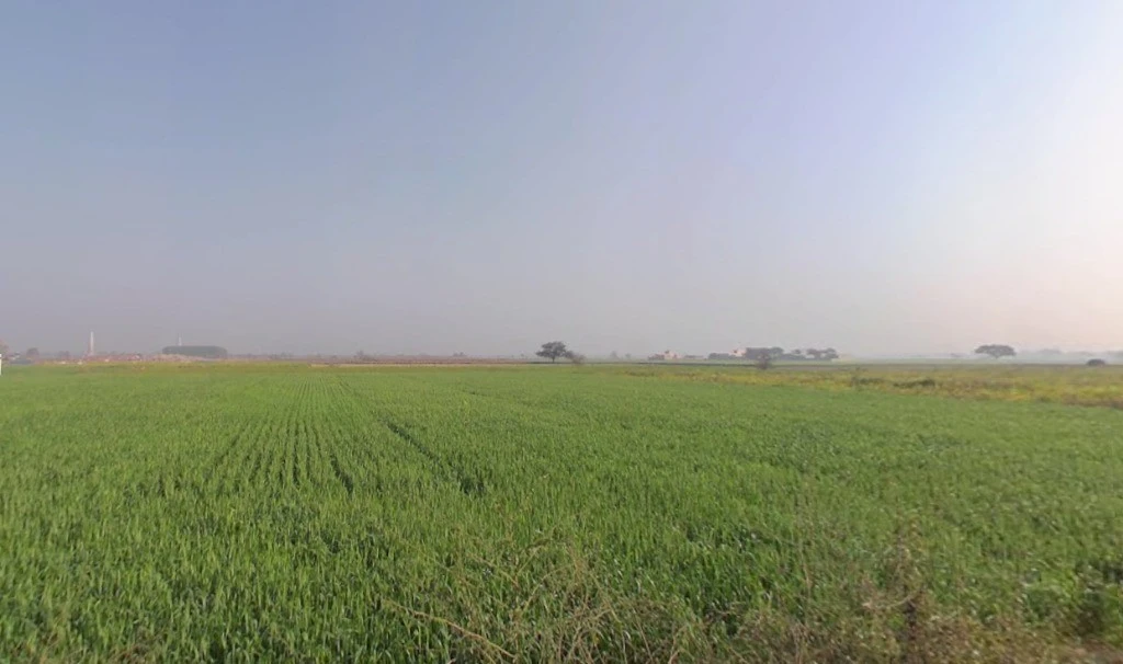 Kaimalgarh, Haryana, India
