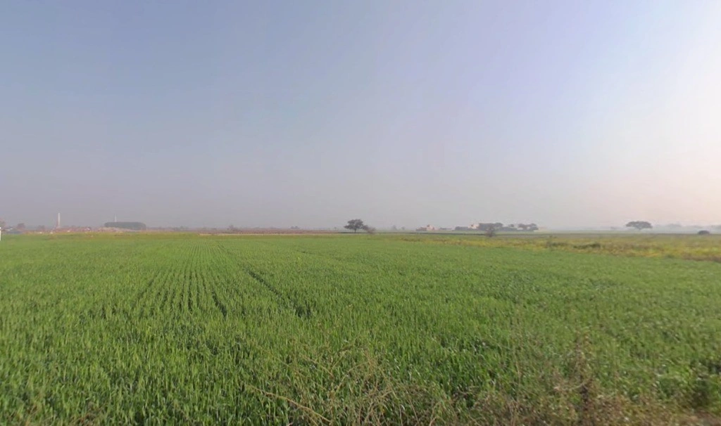 Kaimalgarh, Haryana, India