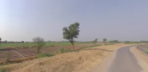 5237+QX Bhojva, Gujarat, India preview 3