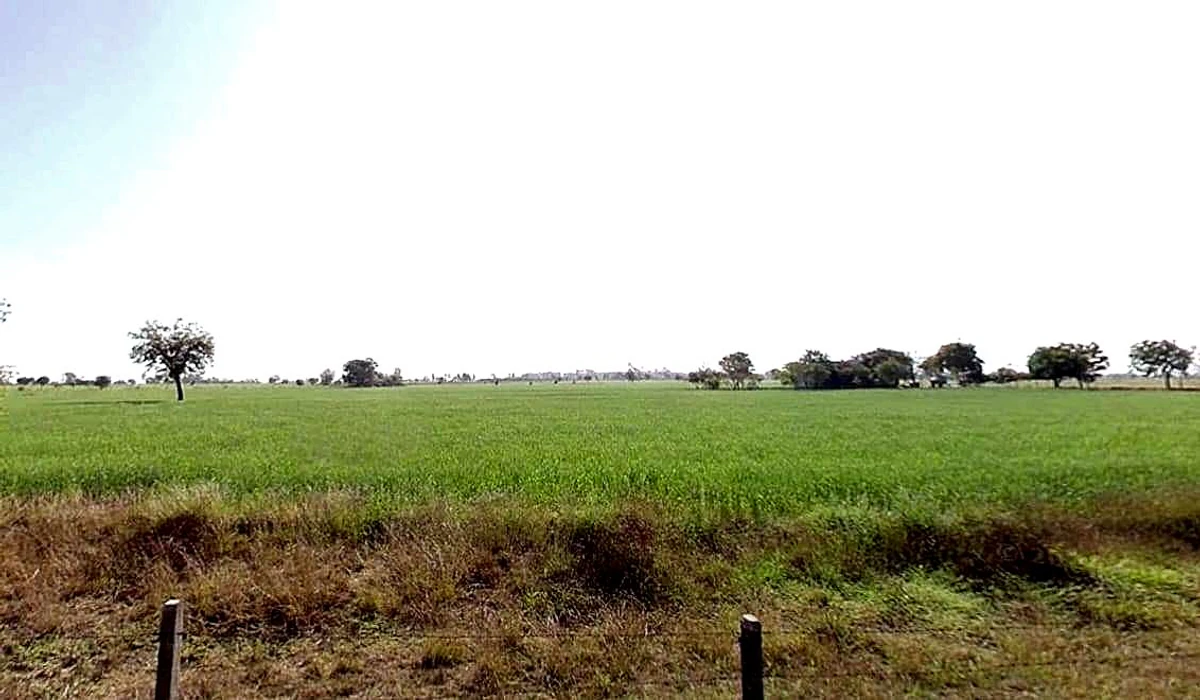 Agar, Madhya Pradesh 465441, India