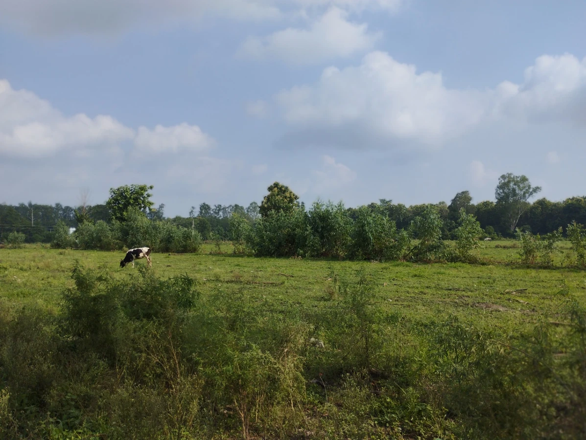 Modinagar - Sonda Rd, Sonda, Uttar Pradesh 201204, India