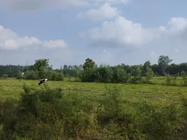 Modinagar - Sonda Rd, Sonda, Uttar Pradesh 201204, India preview 4