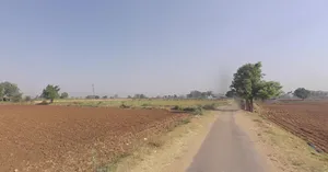 MMQF+67 Mandali Kharod, Gujarat, India preview 3