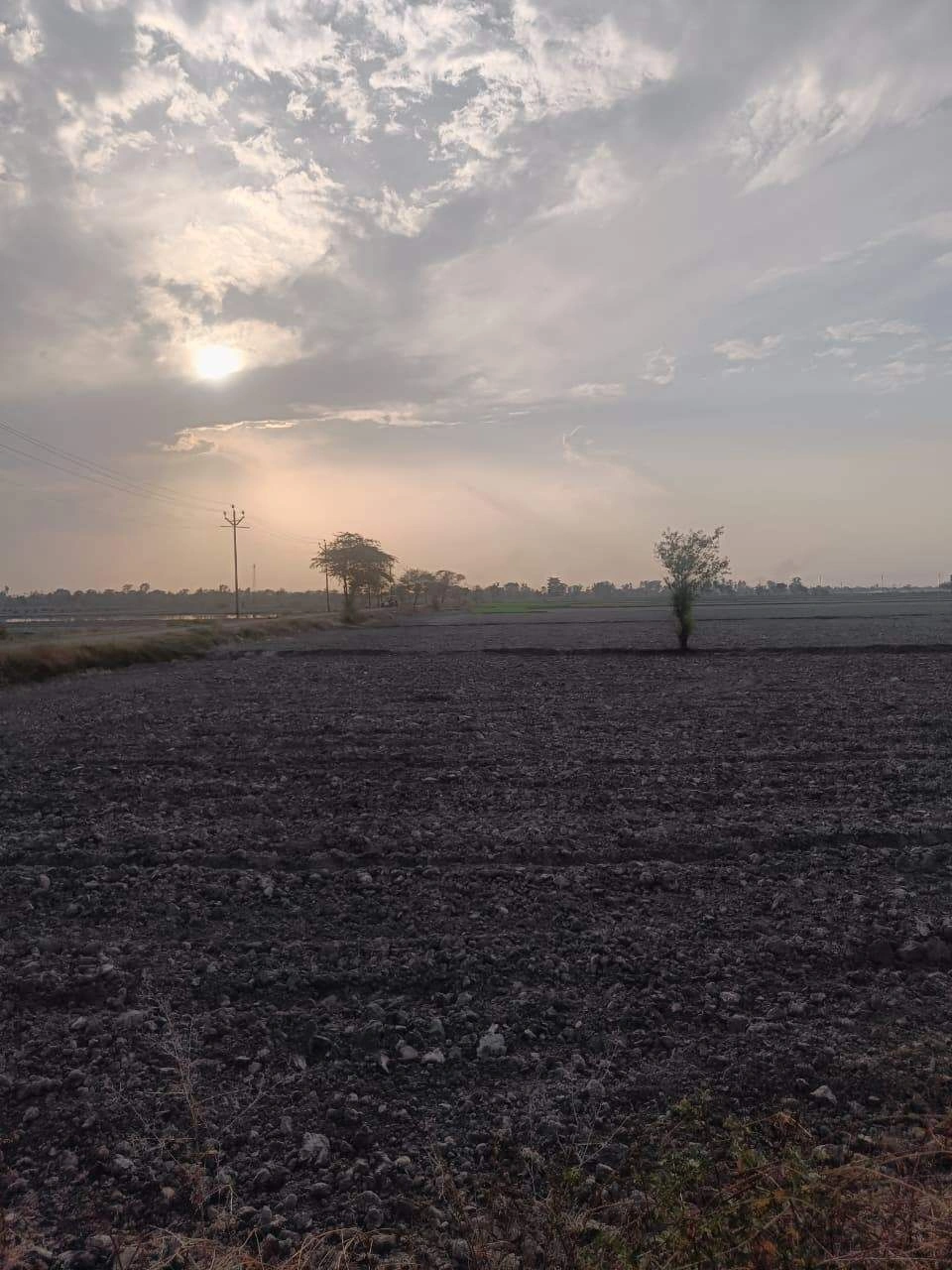 Aou, Rajasthan, India