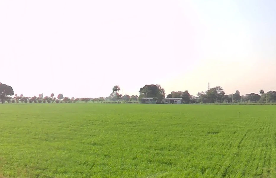Tonk Road, Jaipur, Rajasthan 302015, India
