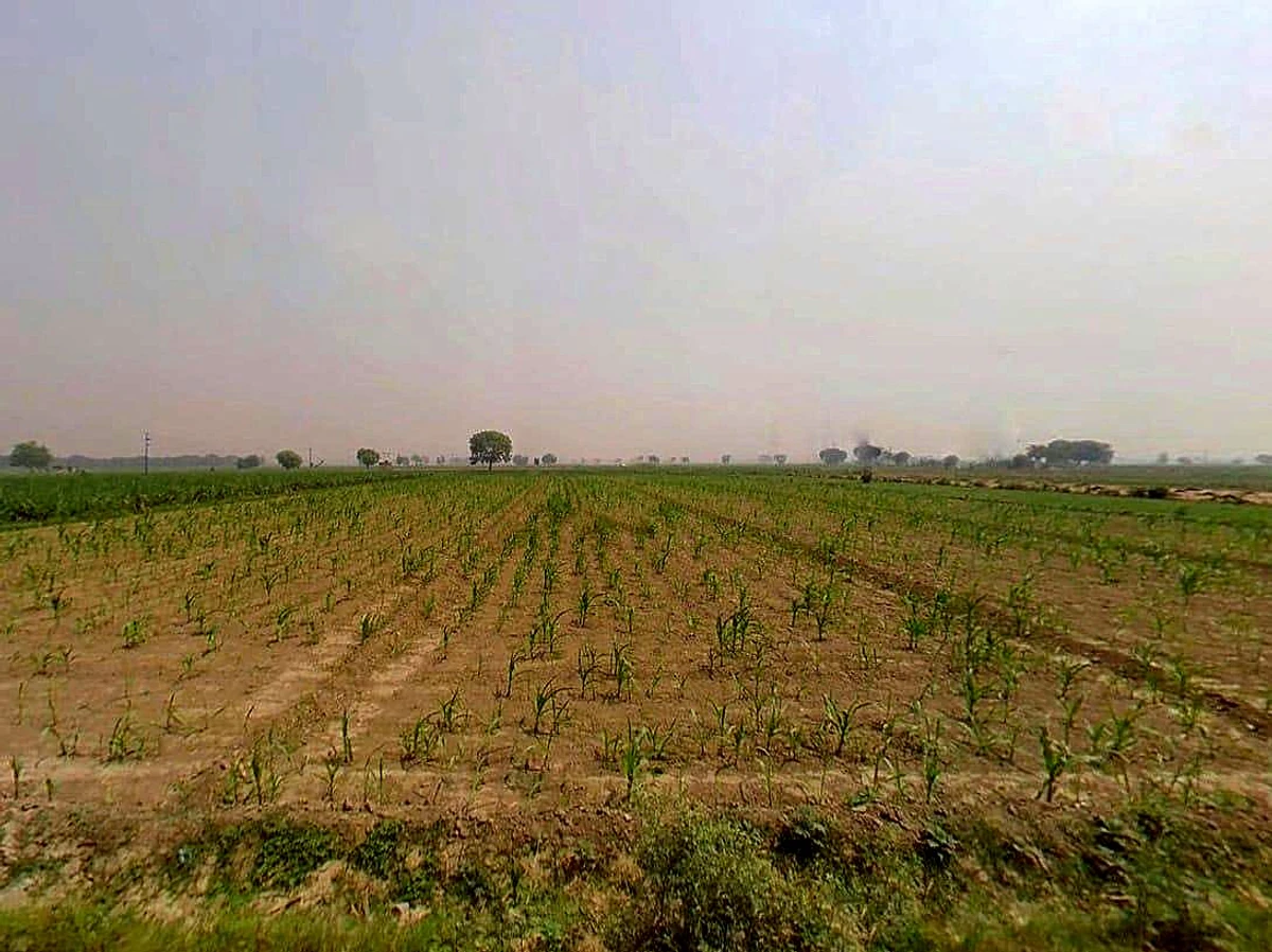 Jogipura, Uttar Pradesh 245206, India