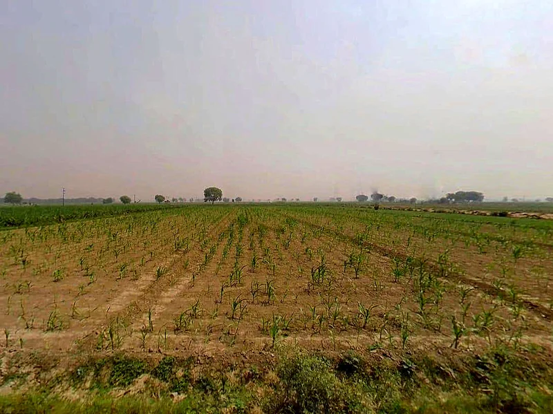 Jogipura, Uttar Pradesh 245206, India preview 3