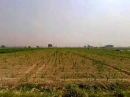 Jogipura, Uttar Pradesh 245206, India preview 3