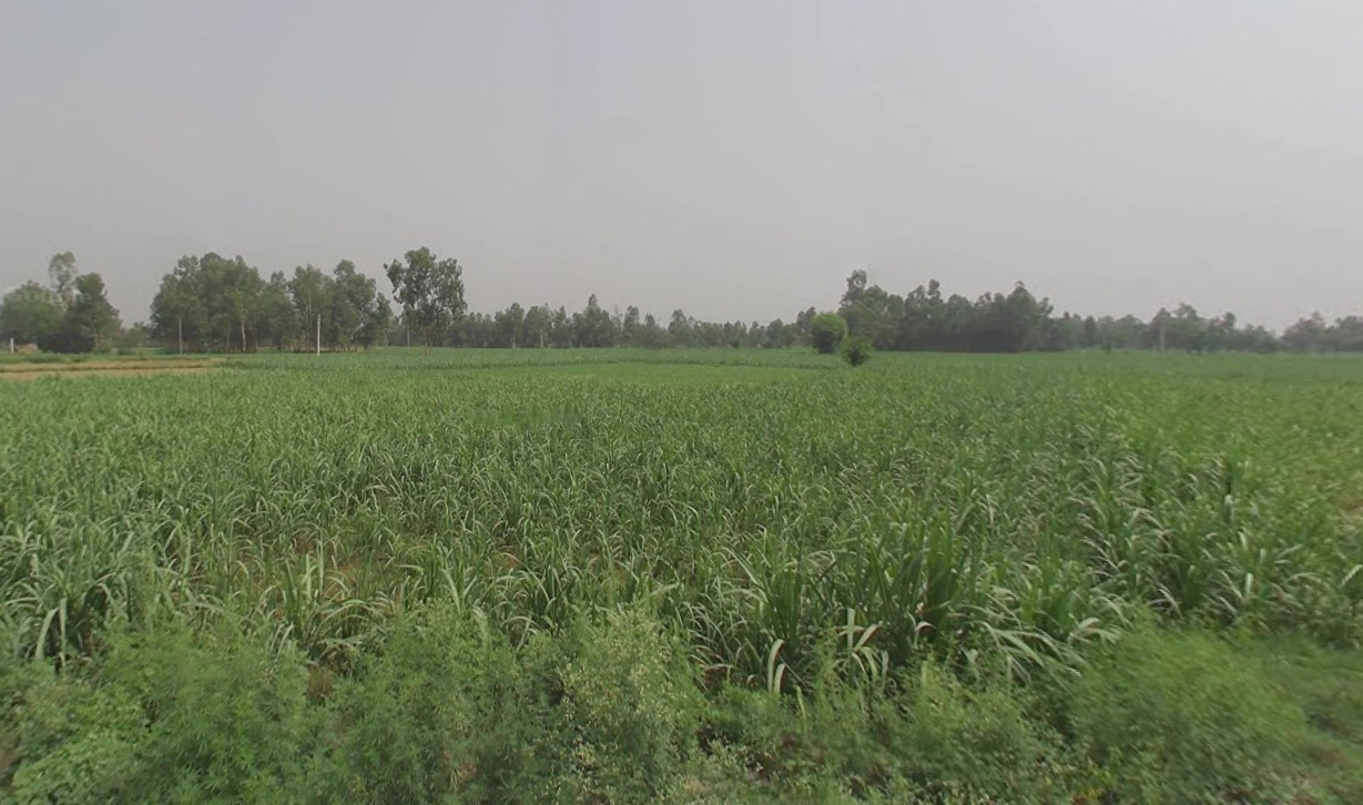 Ground Floor Mamudpur, Naihati, Bora, Mamudpur, West Bengal 743166, India