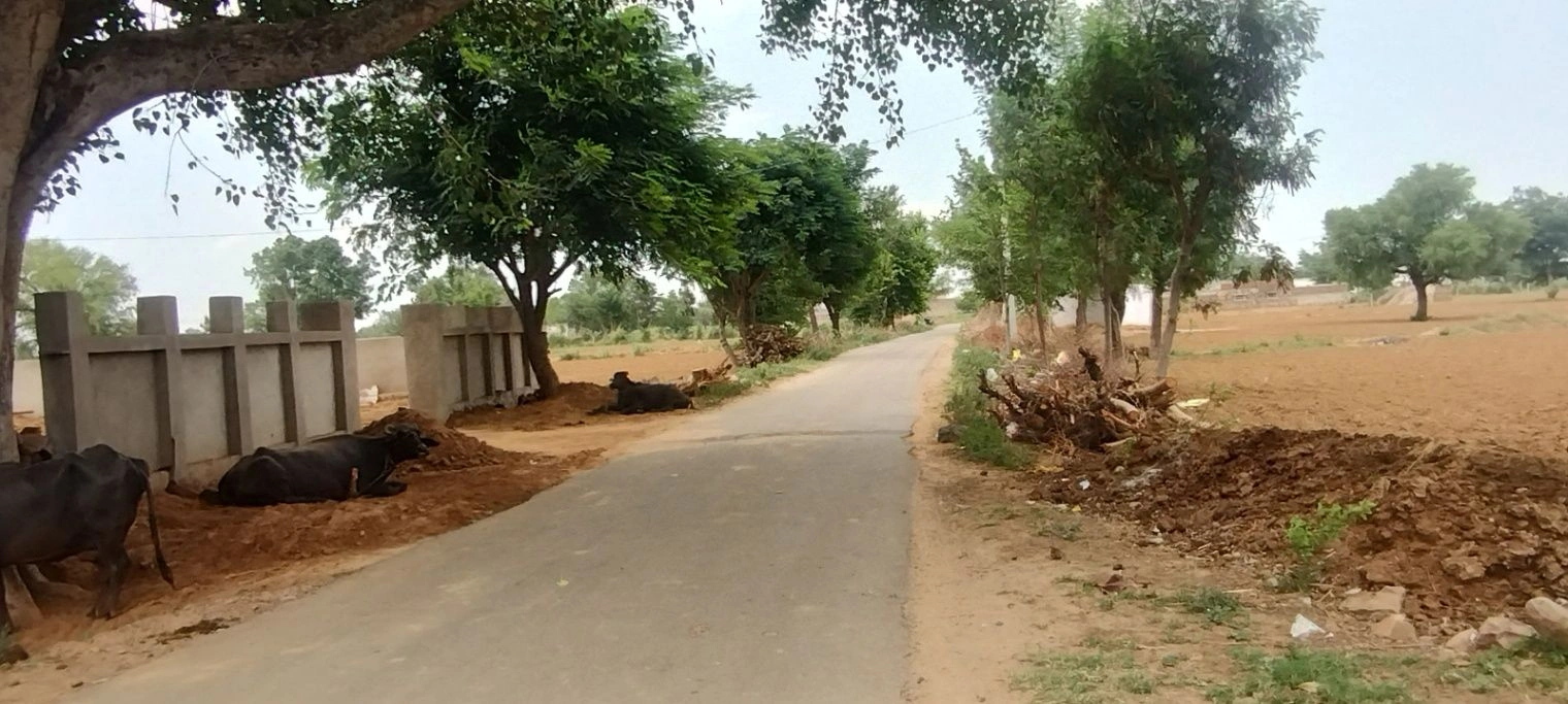 Bai Ka Bas, Rajasthan 301001, India