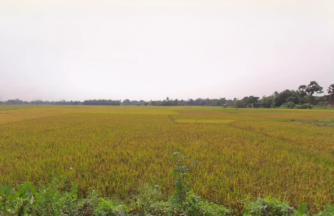 Tarkeshwar, West Bengal 712410, India