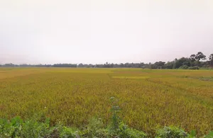 Tarkeshwar, West Bengal 712410, India preview 2