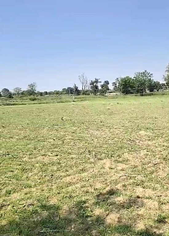 QPW9+Q3F, Sangareddy, Kollur, Telangana 502246, India - Photo 2