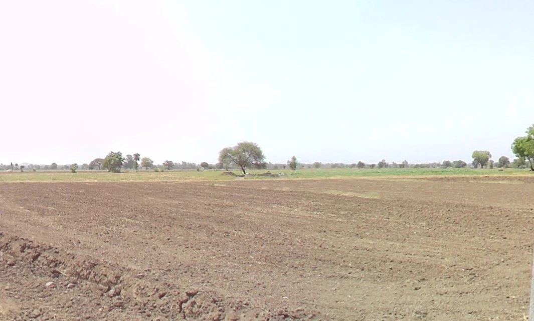 Tanodiya, Madhya Pradesh, India